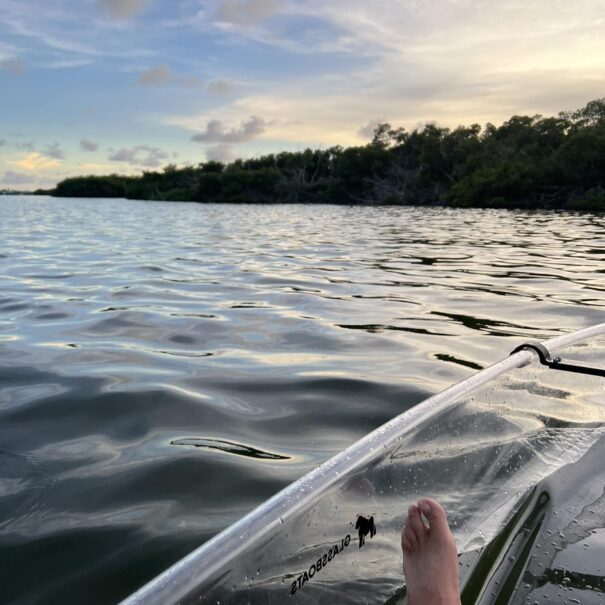 Gorilla Boats Sandbar Tours - Clear Kayak, Canoe, and Paddle Boards in Marathon, FL