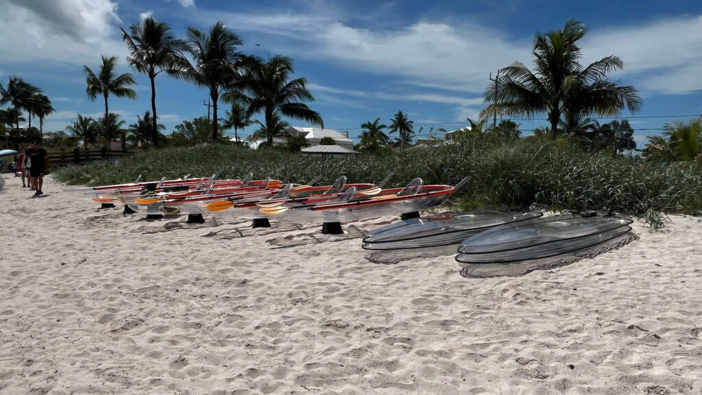 Clear kayaks and paddle boards lined up along Sombrero Beach coastline, with tall grass dunes and palm trees in the background