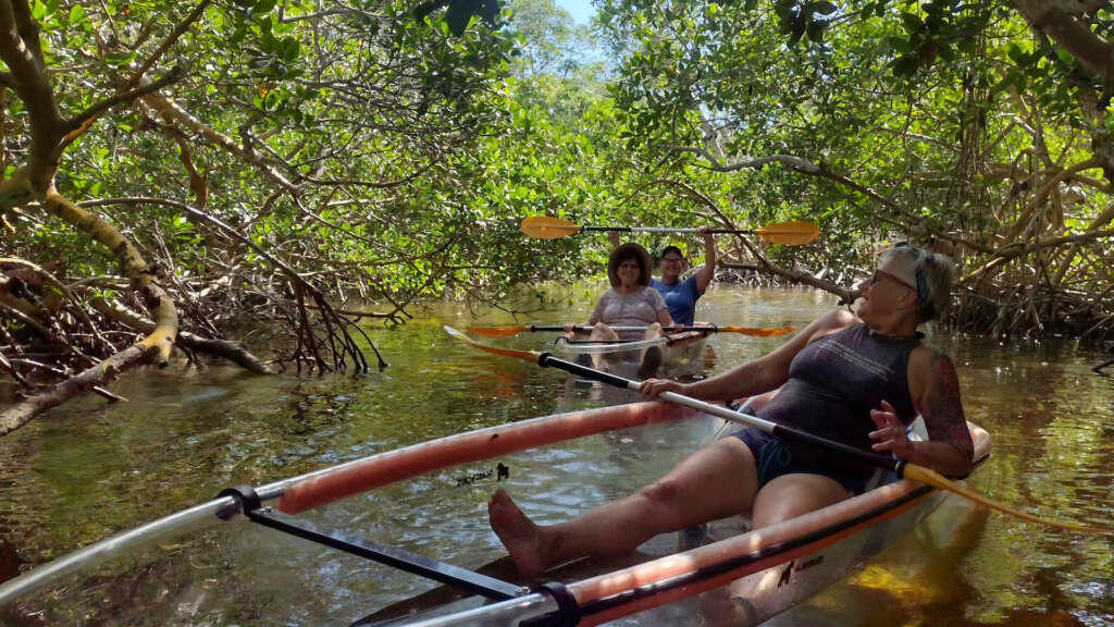 Three women exploring Boot Key Harbour's mangrove tunnels in clear kayaks guided by an experienced tour guide.