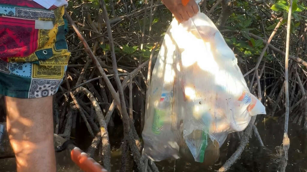 A Paddler removing a large white garbage bag filled with trash from deep within the mangroves aboard a Gorilla Boats clear kayak.